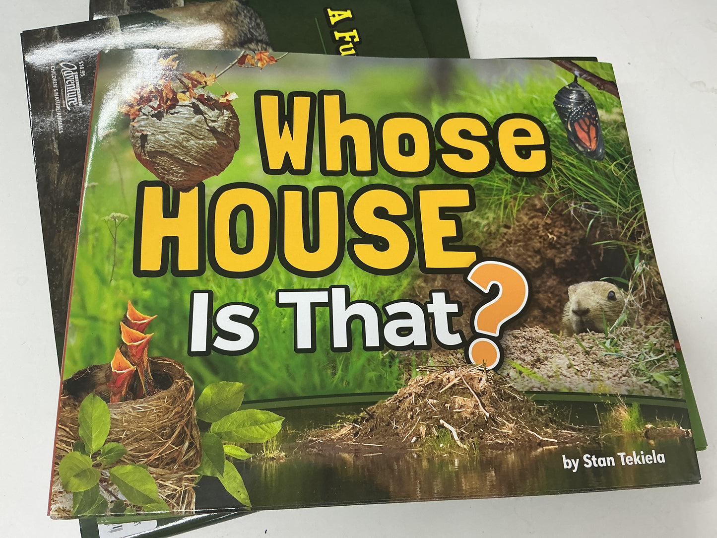 Book Whose House Is That