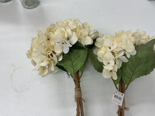 White Hydrangea