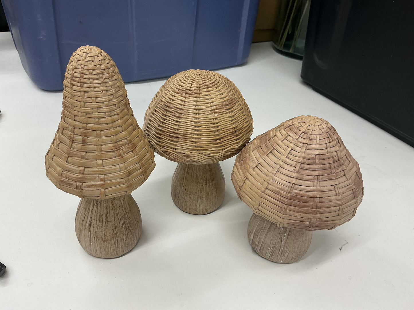 Mushrooms Individual