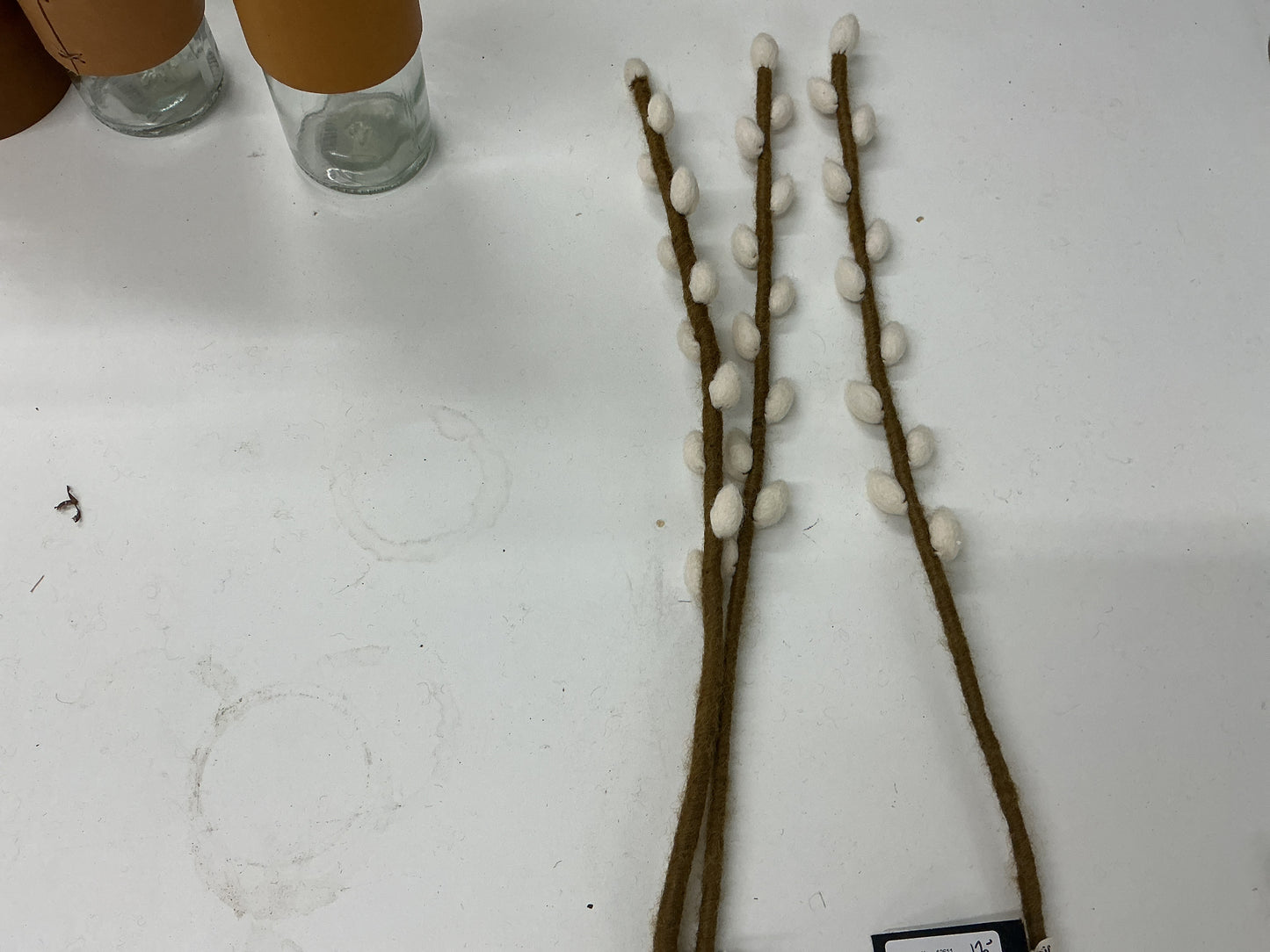 Willow Branch