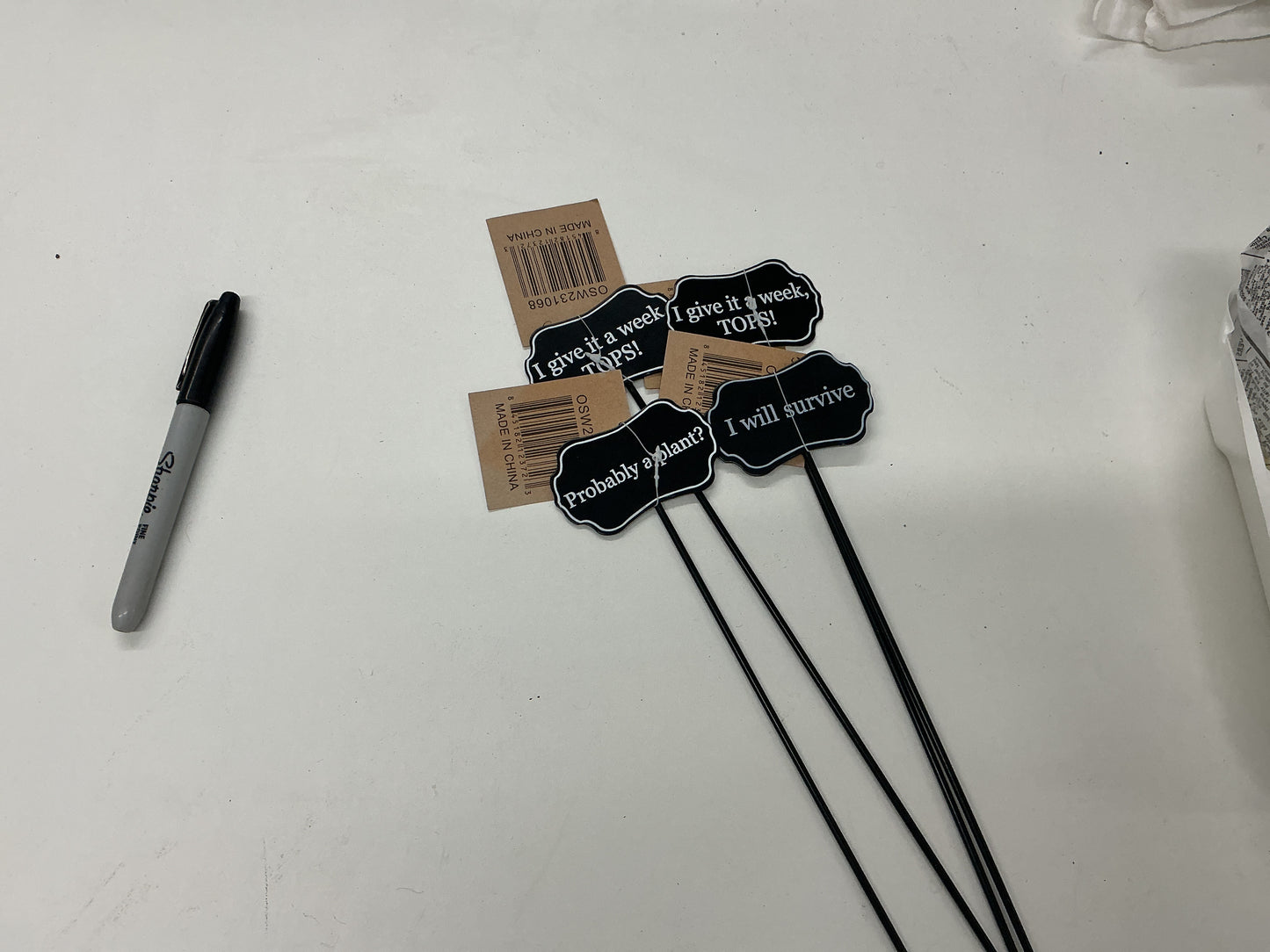Metal Plant Stake
